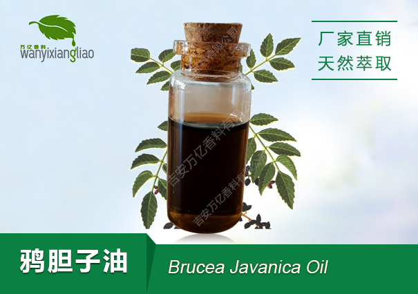 鸦胆子油