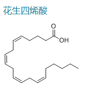 花生四烯酸/二十碳四烯酸