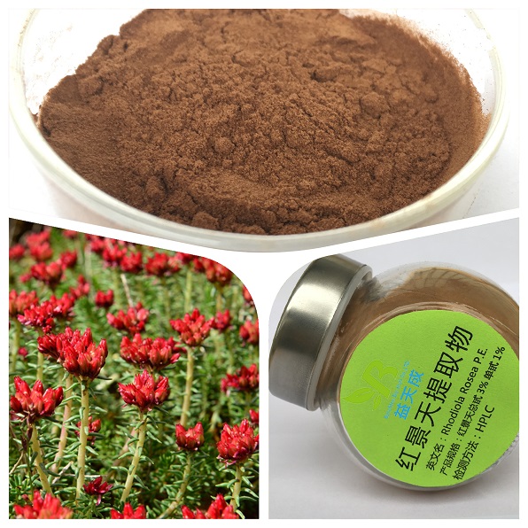 红景天提取物
