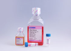 兔骨髓间充质干细胞完全培养基