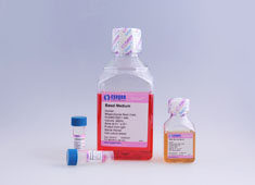 恒河猴骨髓间充质干细胞完全培养基