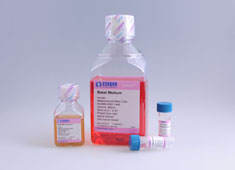 成人骨髓间充质干细胞完全培养基