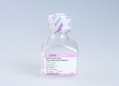 间质干细胞无蛋白非程序冻存液