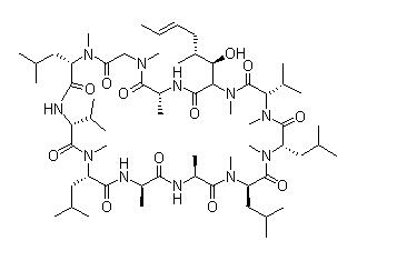 环孢菌素B