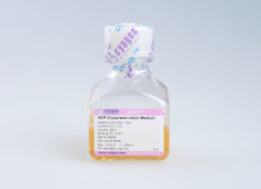 小鼠胚胎干细胞血清型非程序冻存