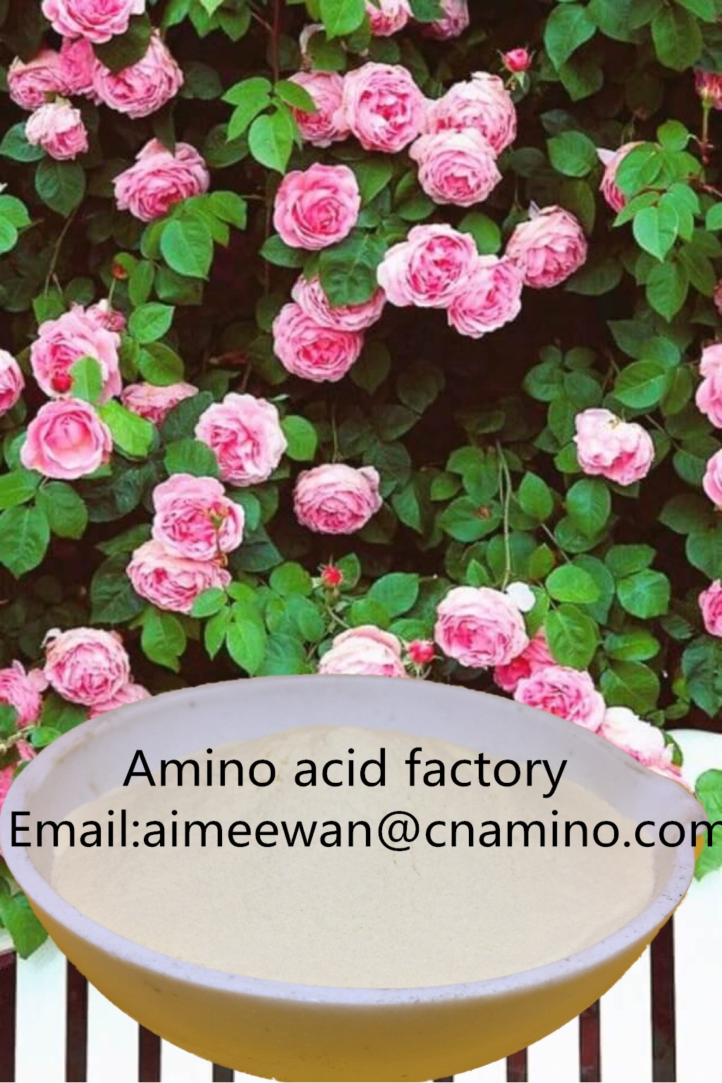 Amino acid,compound amino acid 40% 52% 60% 70% 80% without chloride no caking