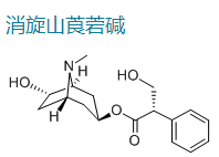 消旋山莨菪碱