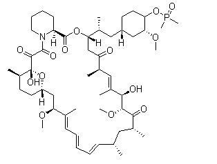 Ridaforolimus (Deforolimus, MK-8669)