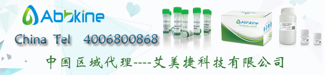 TRAKINE PRO 活细胞微管蛋白染色试剂盒