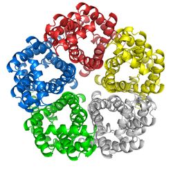 乳腺癌易感基因1 多肽