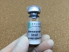 重组人源血管内皮生长因子rh-VEGF