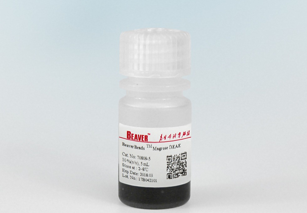 DEAE磁珠