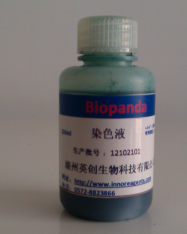 安全 、快速蛋白质染色剂