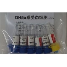 C58C1 ELECTRO感受态细胞