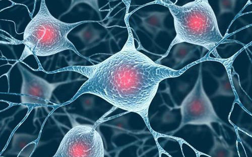 人高转移肺癌细胞；95-D