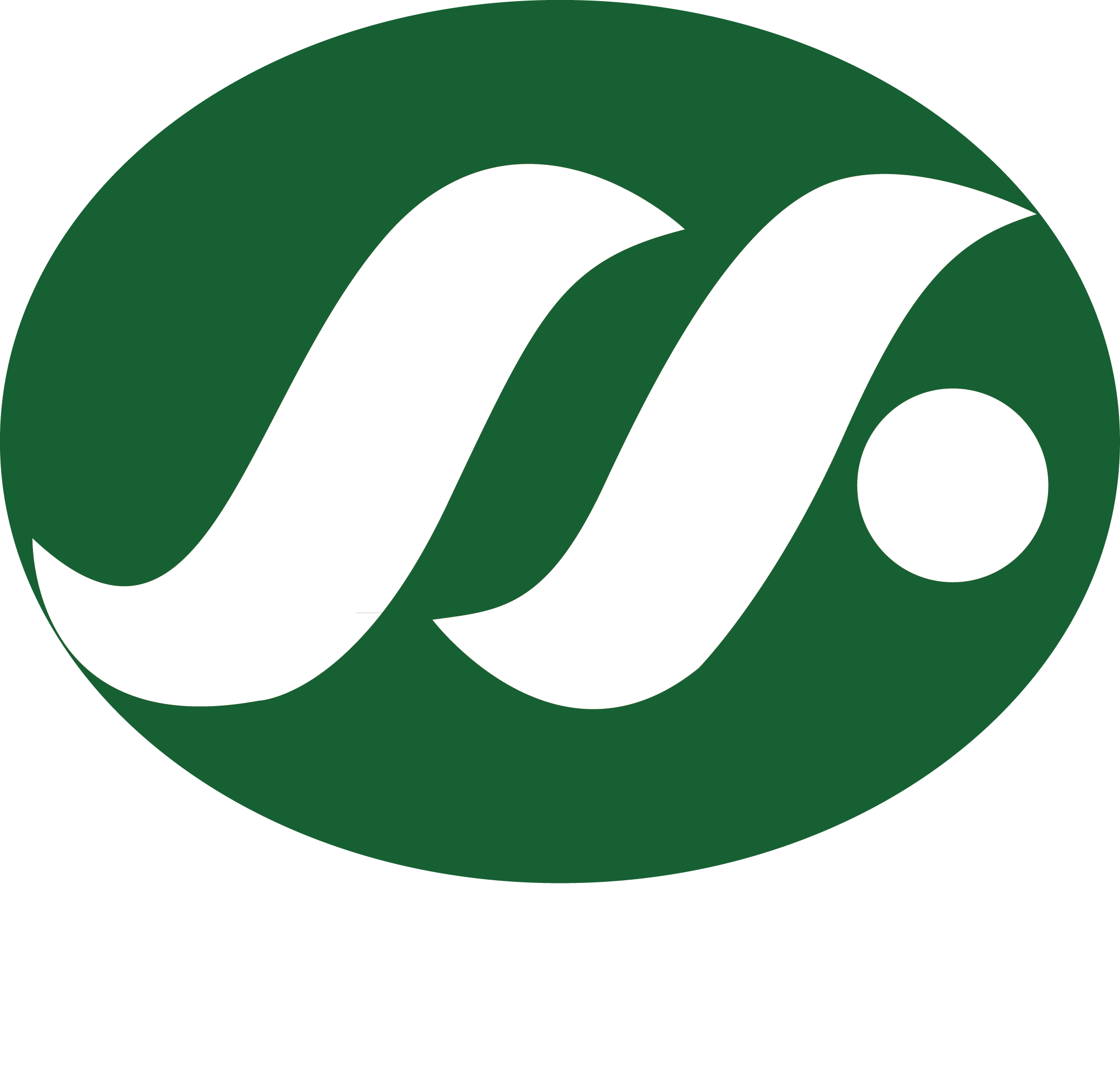 瑞格非尼一水合物