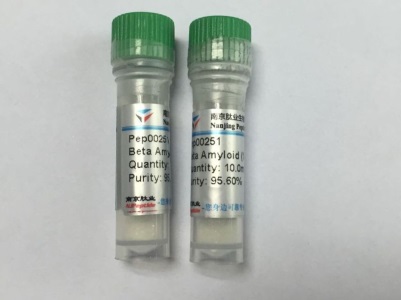 BETA淀粉样蛋白片段1-40