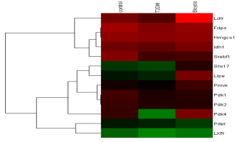 小鼠雄激素受体信号通路PCR芯片