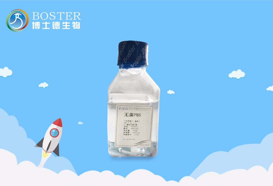 无菌PBS溶液