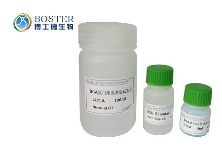 BCA蛋白浓度测定试剂盒