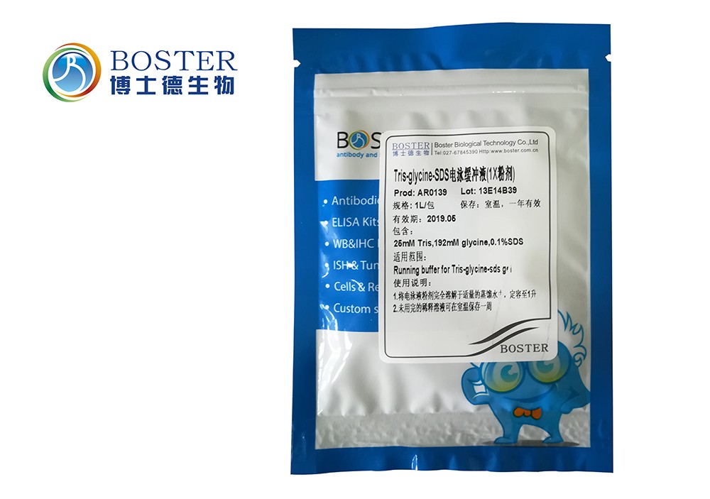 Tris-glycine-SDS电泳缓冲液(1X粉剂)