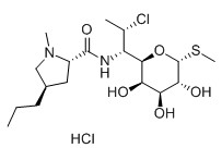 盐酸克林霉素/氯洁霉素