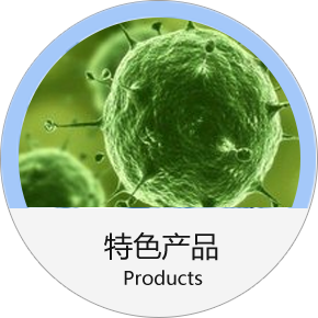 小鼠心肌细胞(乳鼠)