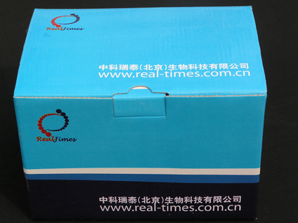 昆虫基因组DNA提取试剂盒