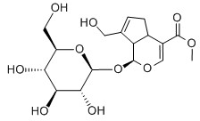 栀子苷/京尼平苷
