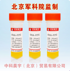 异硫氰酸荧光素标记鸡卵清白蛋白