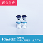 重组人白介素2|Human IL-2