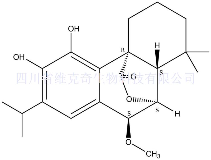 7alpha-甲氧基迷迭香酚