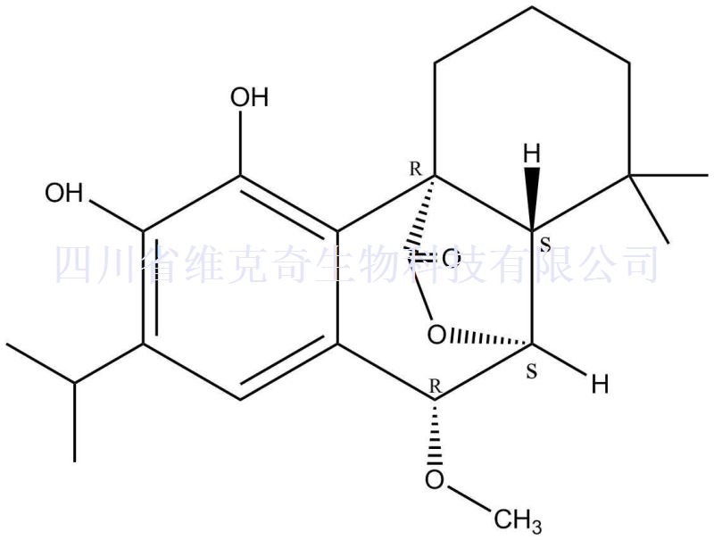 7beta-甲氧基迷迭香酚