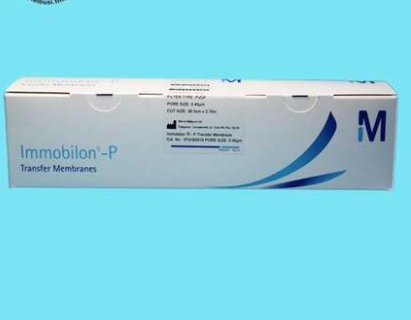 PVDF膜转印膜,膜孔径0.45u
