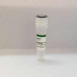 动物体内RNA转染试剂 3天完成动物siRNA, mimic, inhibitor, miRNA等转染