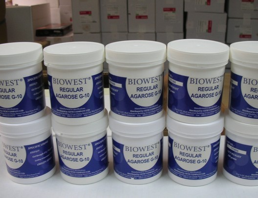 琼脂糖（西班牙）