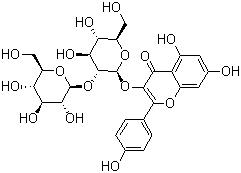 山奈酚-3-O-β-D-槐糖苷；山奈酚-3-O-槐糖苷