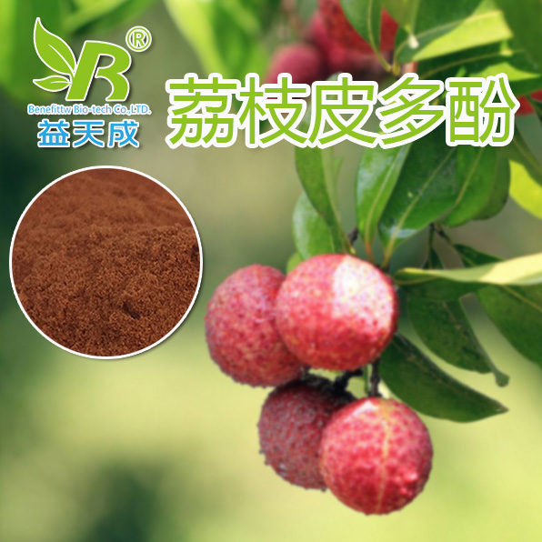 荔枝多酚