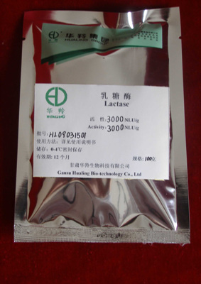 乳糖酶