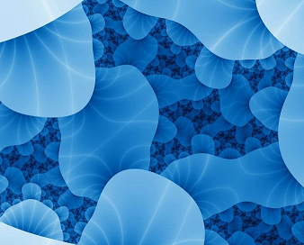 人椎间盘髓核细胞提取物