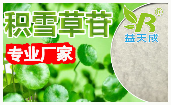 积雪草提取物羟基积雪草苷