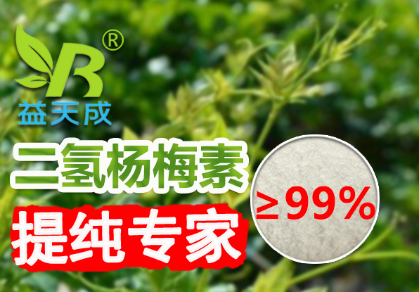 水溶性二氢杨梅素98%