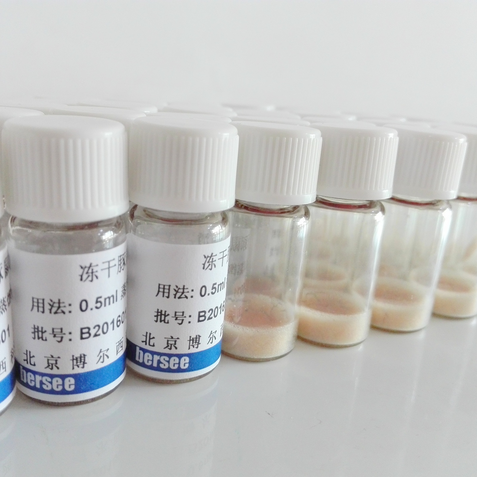 bersee品牌 冻干豚鼠血清