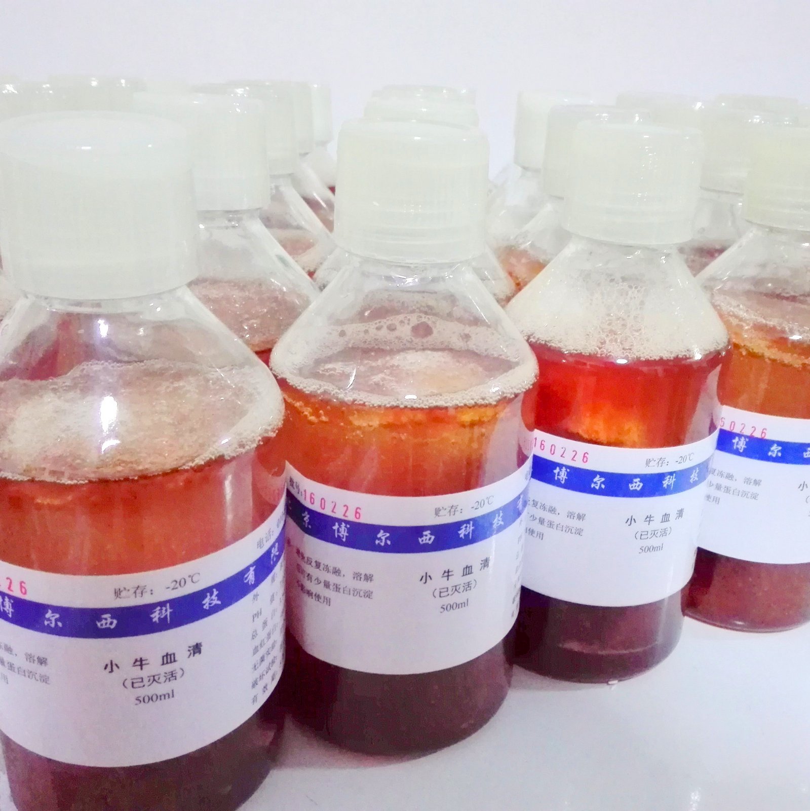 供应bersee品牌 新生牛血清