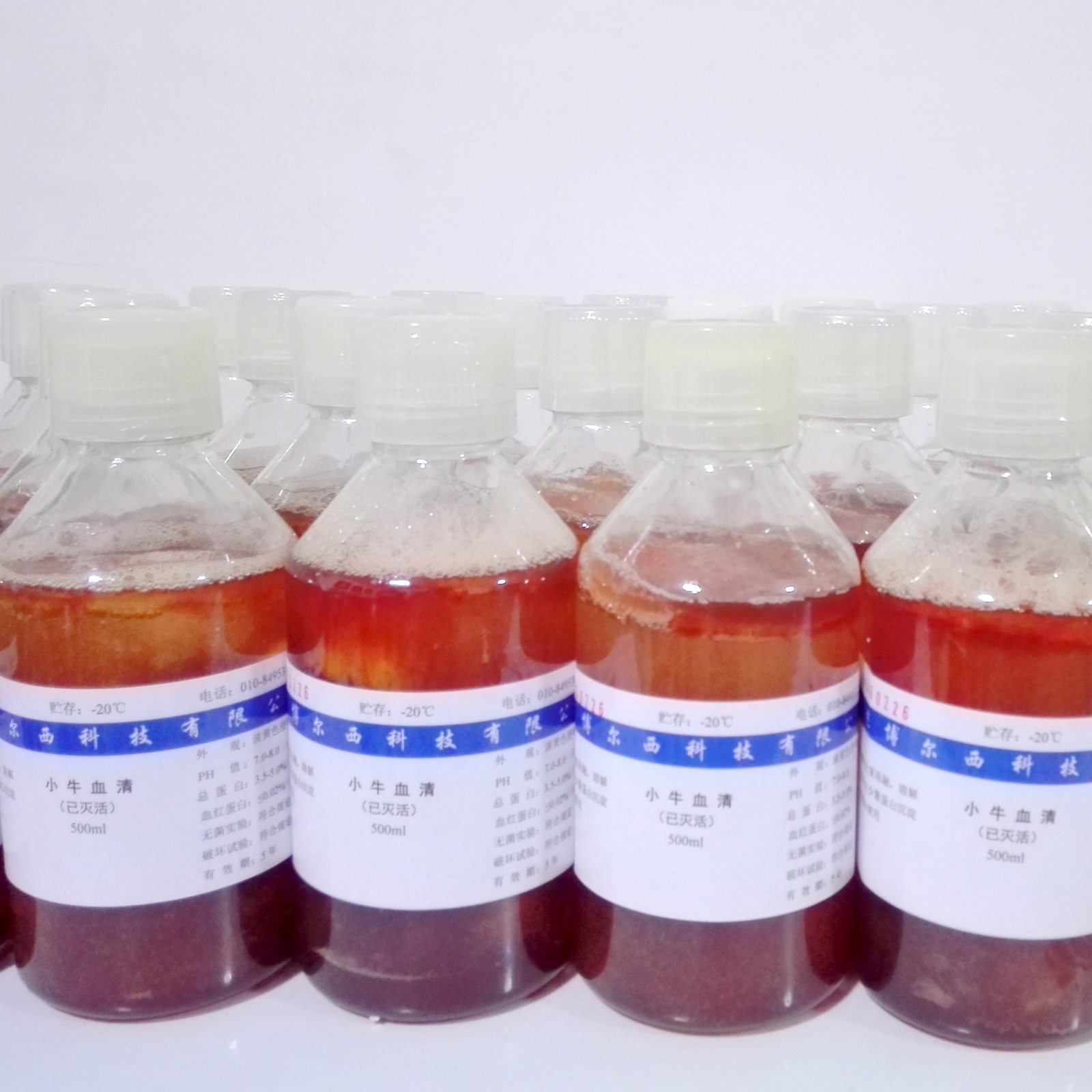 供应bersee品牌 新生牛血清