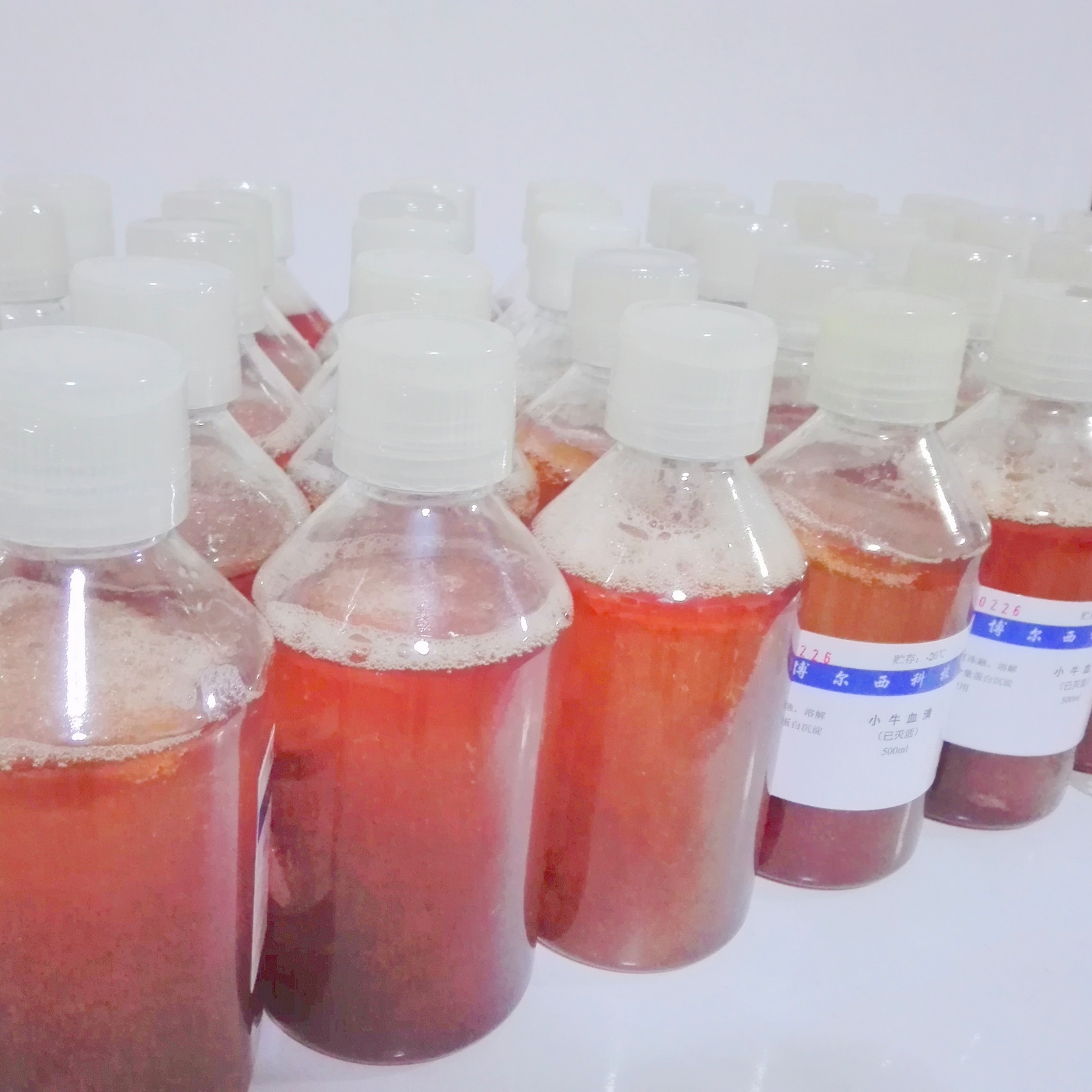 供应bersee品牌 新生牛血清