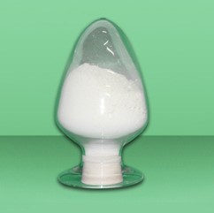 胃蛋白酶；蛋白酵素；百布圣