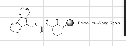 Fmoc-Leu-Wang resin