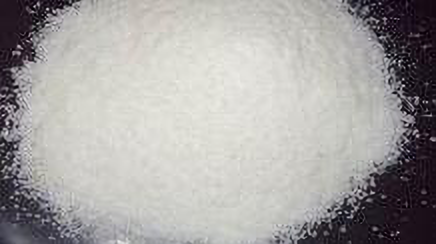 交联聚维酮(药用辅料)