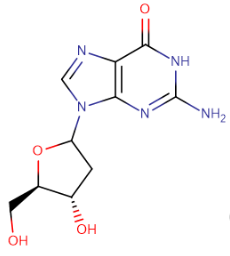 2'-脱氧鸟苷一水合物